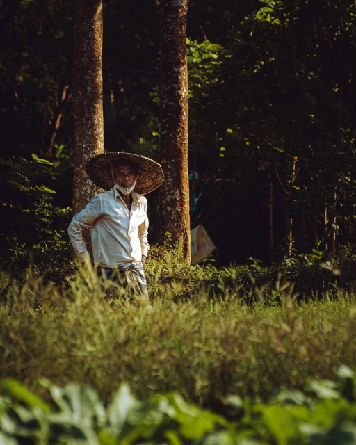 Bangladesh Farmer
