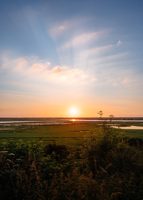 Summer Evening, Alkborough Flats