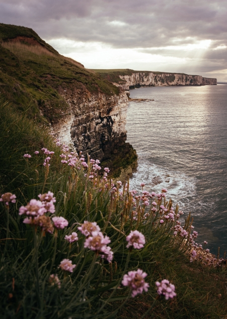 Flamborough