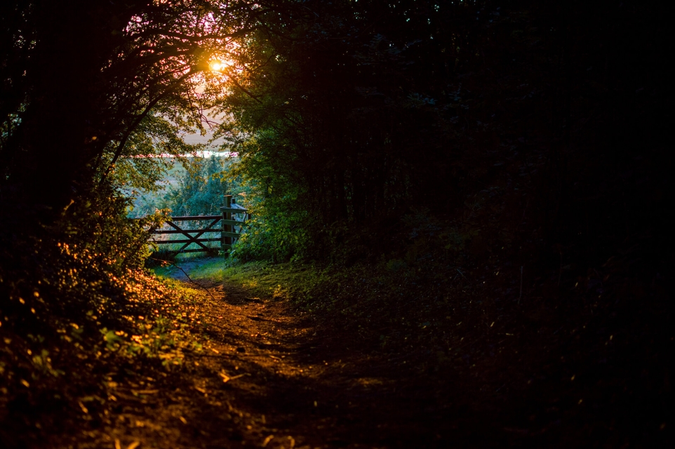 Path to the Fae Realm