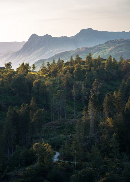 Evening Light over Langdales