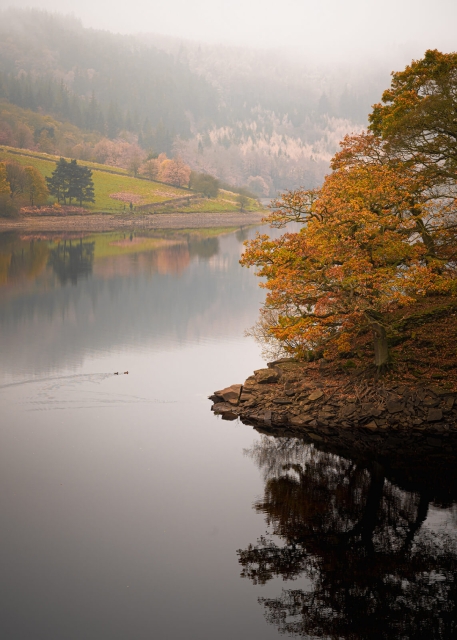Autumn Morning, Ladybower
