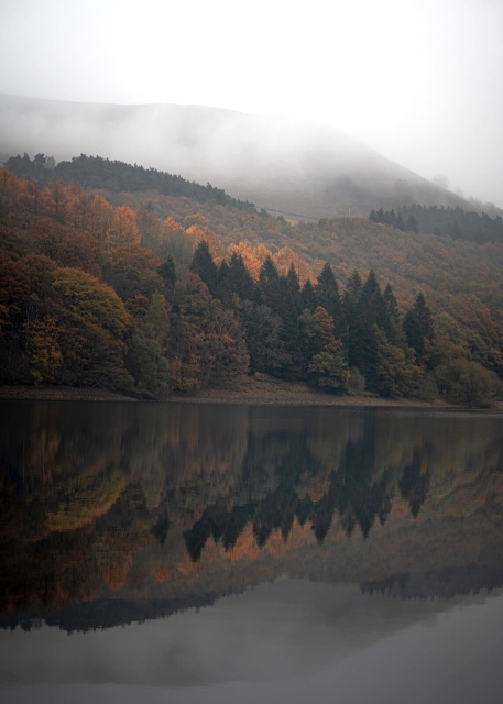 Autumn Morning, Ladybower