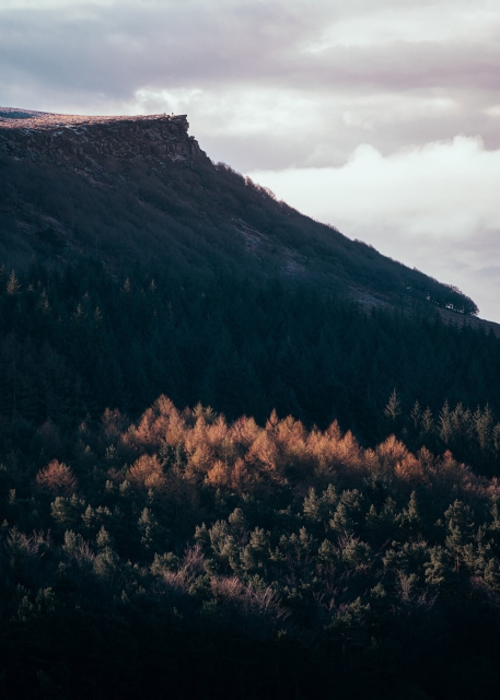 Bamford Edge, Autumn