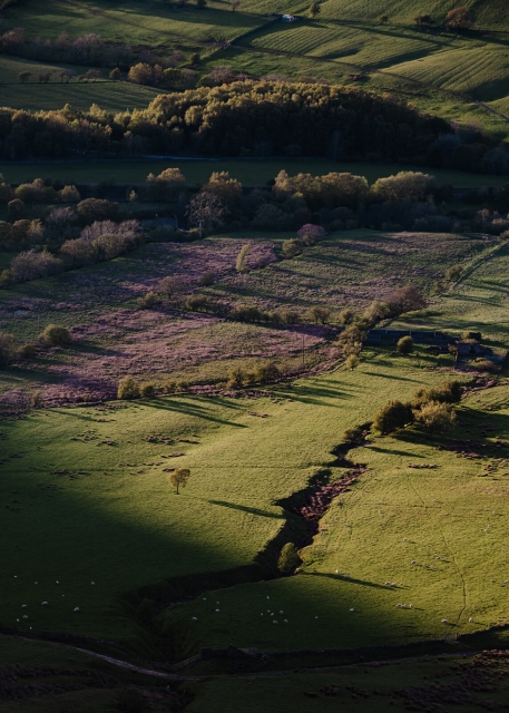 Edale Valley, Summer Evenings