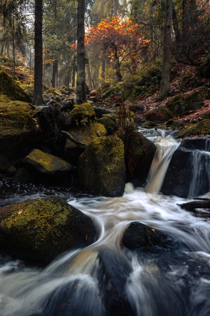 Autumn Colours, Wyming Brook